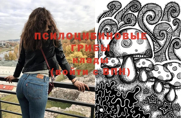 таблы Краснослободск