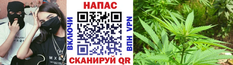 Марихуана Ganja  Пыталово 